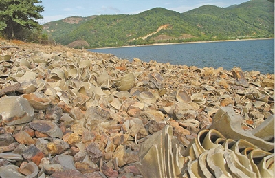 1335930_bw-zhangwei_1504145983101_b.jpg 1335930_bw-zhangwei_1504145983101_b.jpg