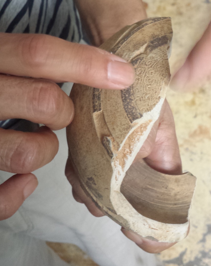 image005.jpg image005.jpg