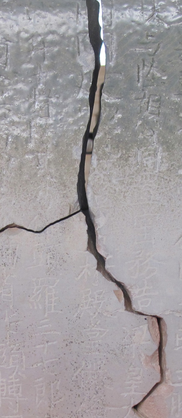 image037.jpg image037.jpg